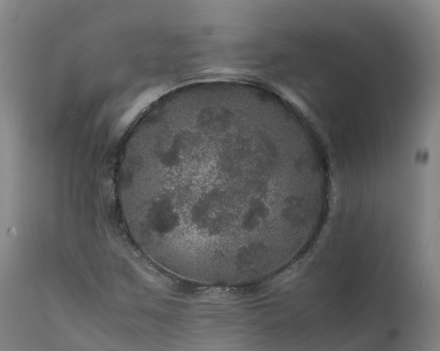 X0000111471259200907201128