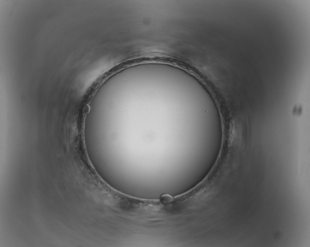 X0000111471261200907201128