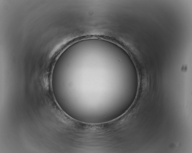 X0000111471262200907201128