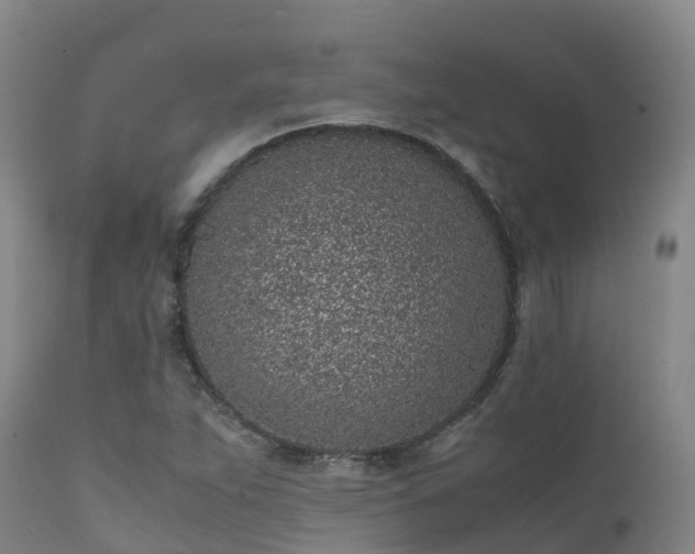 X0000111471263200907201128