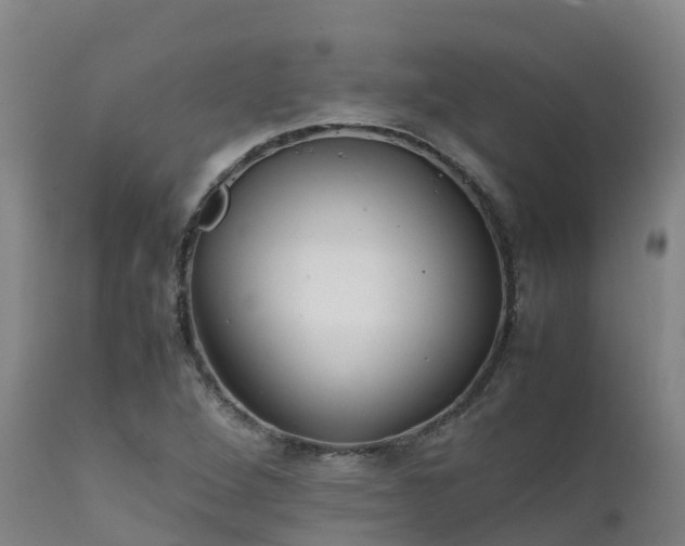 X0000111471264200907201128