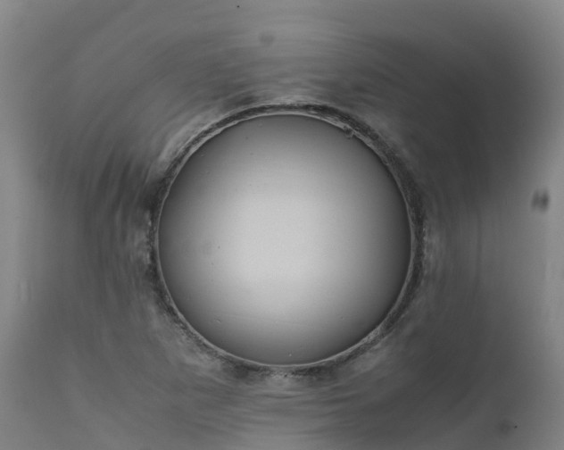 X0000111471265200907201128