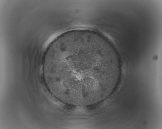 X0000111471267200907201128