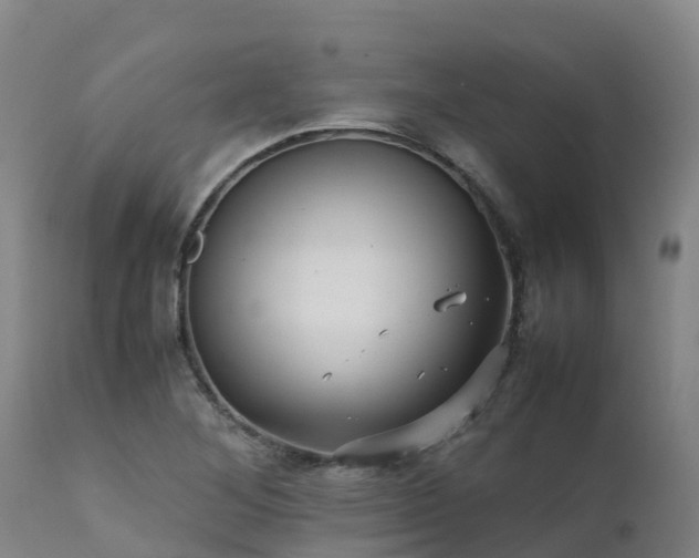 X0000111471268200907201128