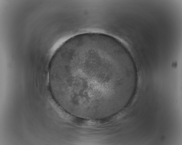 X0000111471271200907201128