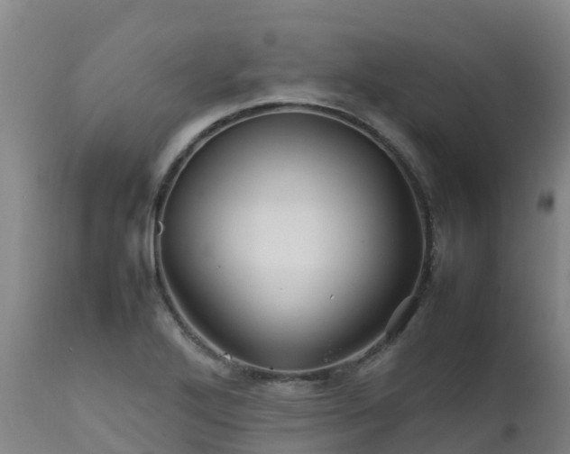 X0000111471272200907201128