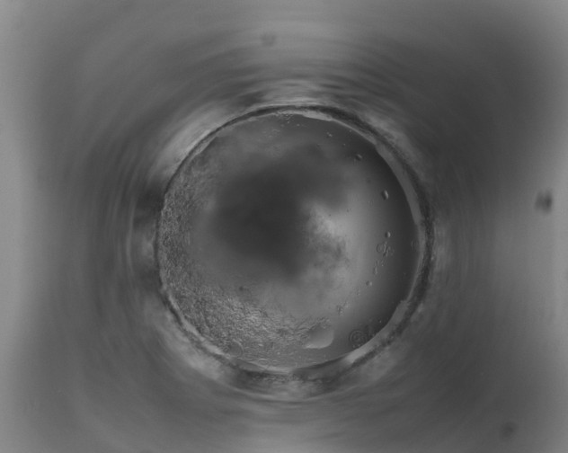 X0000111471273200907201128