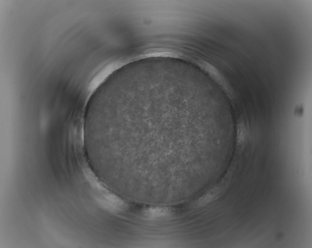 X0000111471274200907201128