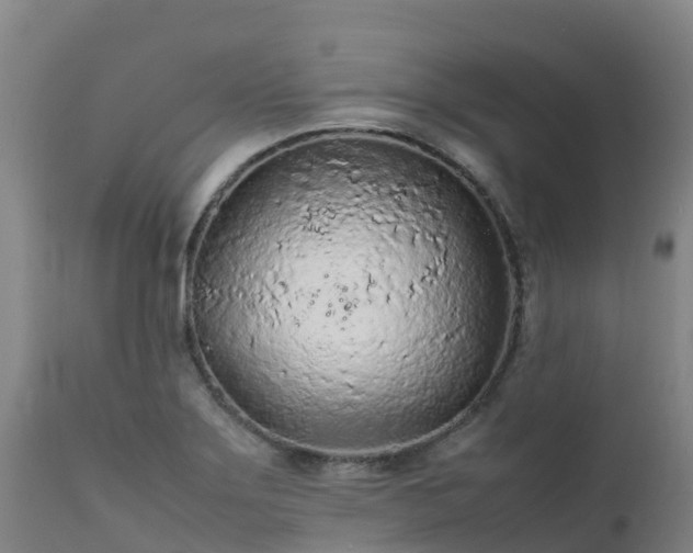 X0000111471275200907201128