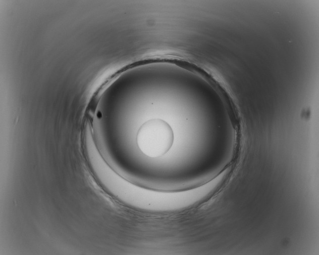 X0000111471277200907201128