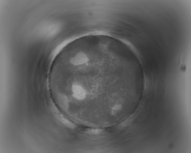 X0000111471278200907201128