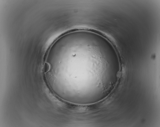 X0000111471279200907201128