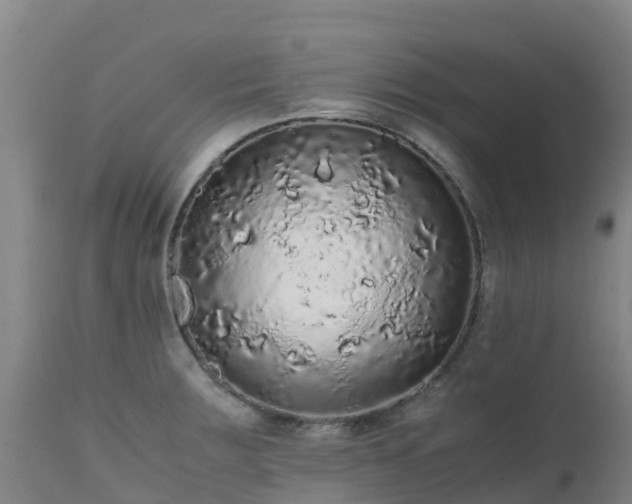 X0000111471283200907201128