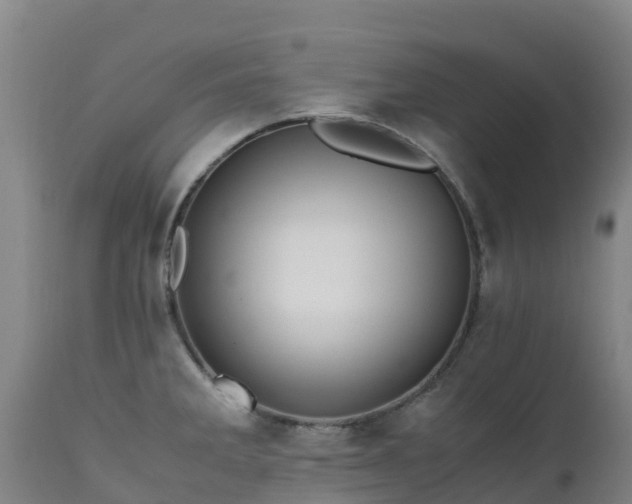 X0000111471285200907201128