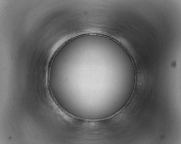 X0000111471286200907201128