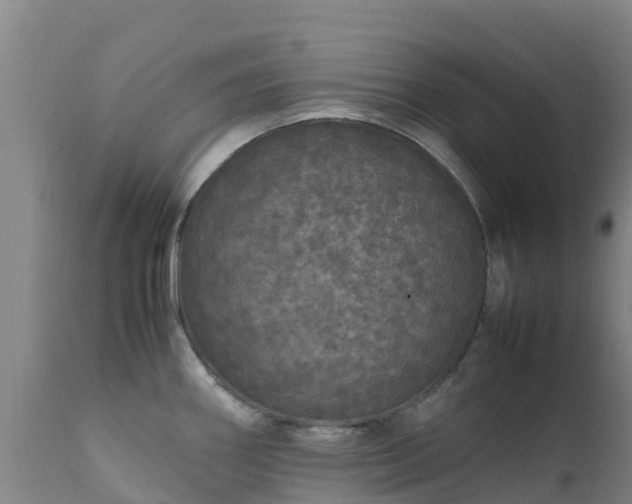 X0000111471290200907201127