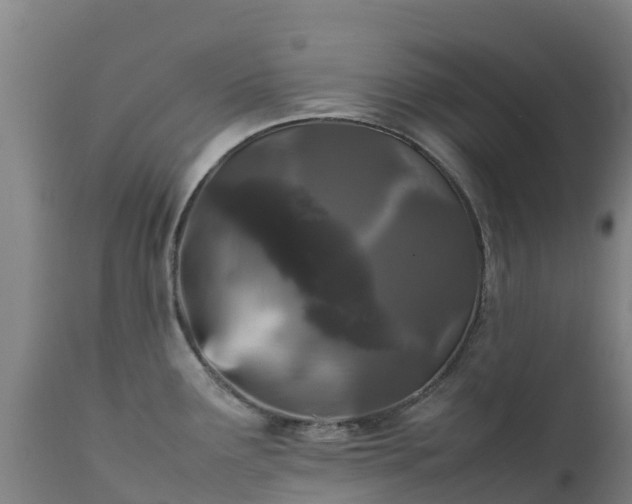 X0000111471291200907201127