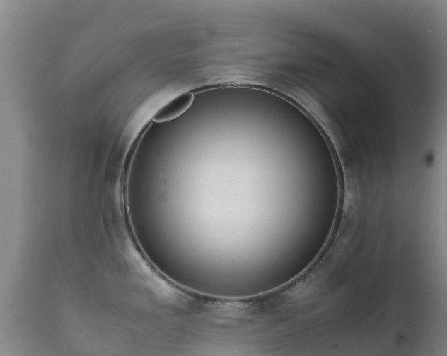 X0000111471293200907201127