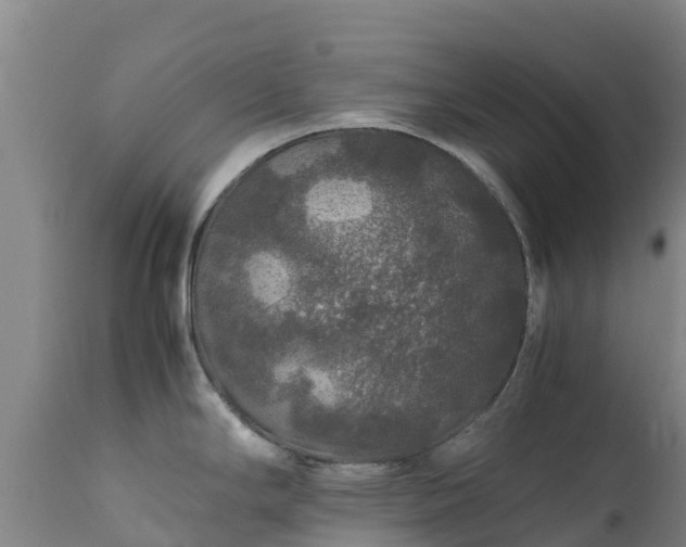 X0000111471294200907201127