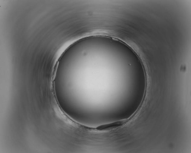 X0000111471296200907201127