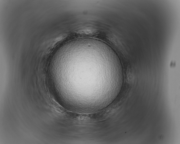 X0000111471297200907201127