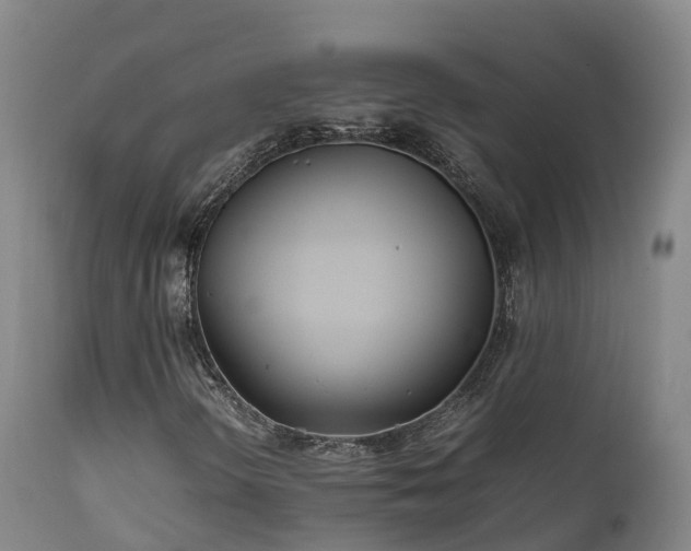 X0000111471298200907201127