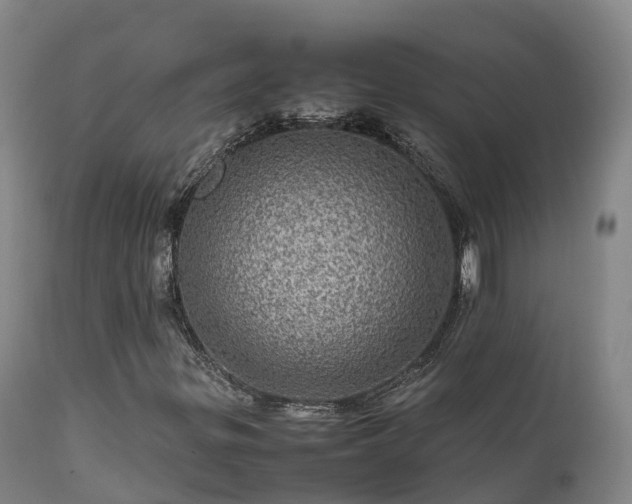 X0000111471299200907201127