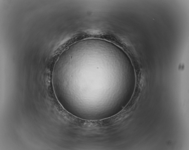 X0000111471301200907201127