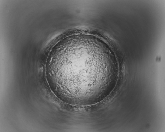 X0000111471302200907201127