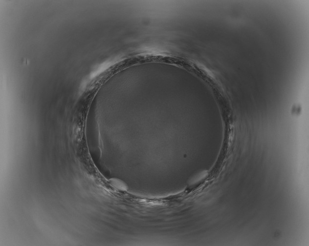 X0000111471303200907201127