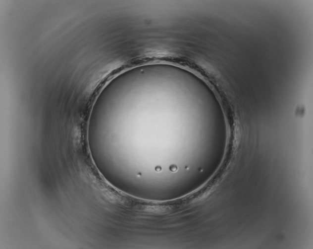 X0000111471305200907201127