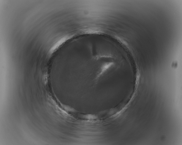 X0000111471306200907201127