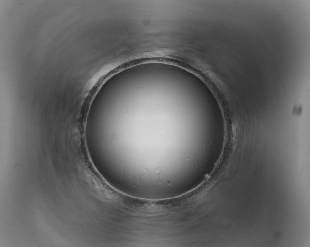 X0000111471308200907201127