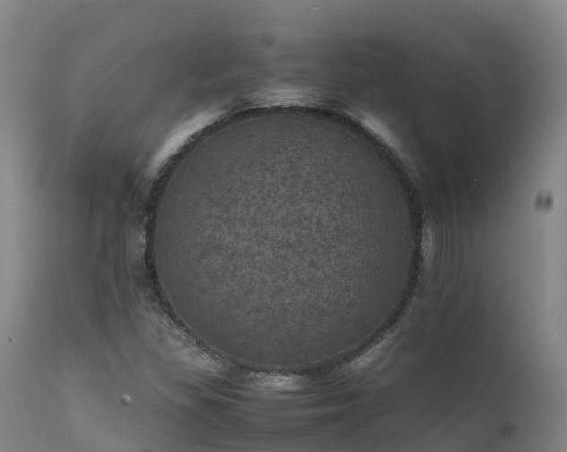 X0000111471309200907201127