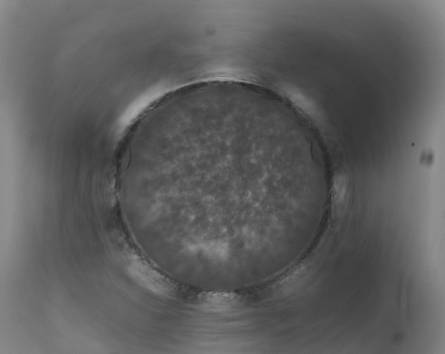 X0000111471310200907201127