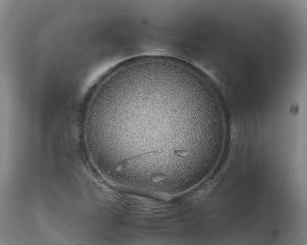 X0000111471311200907201127