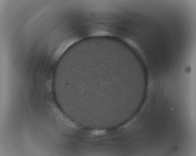 X0000111471313200907201127