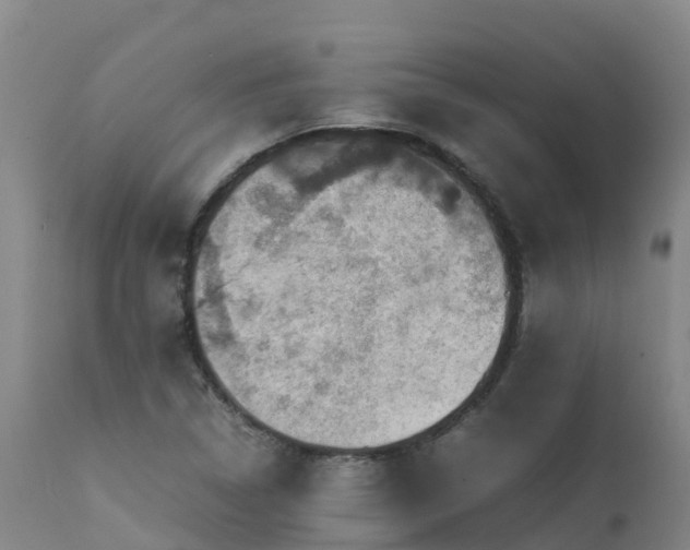 X0000111471314200907201127