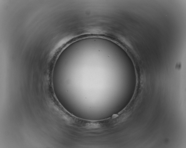 X0000111471315200907201127