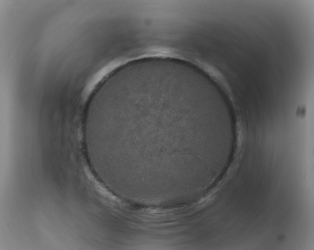 X0000111471318200907201127