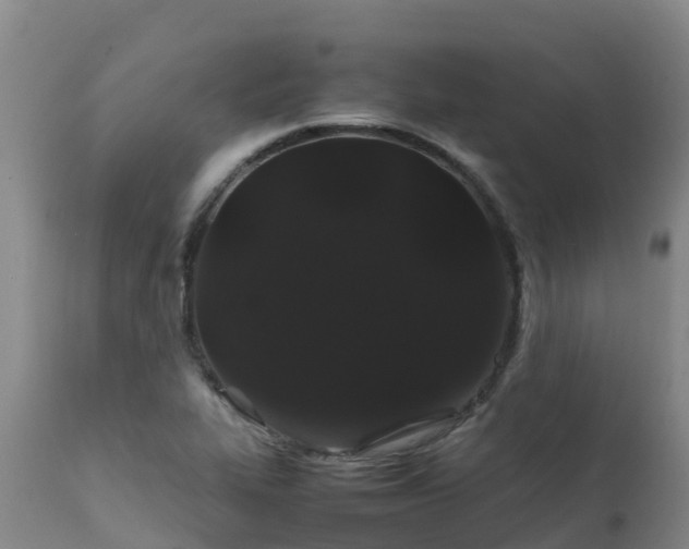 X0000111471319200907201127