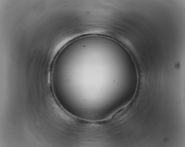 X0000111471324200907201127