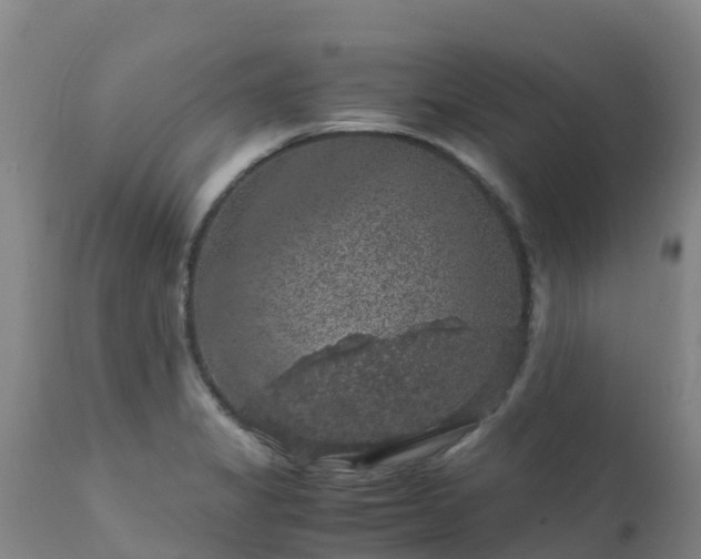 X0000111471325200907201127