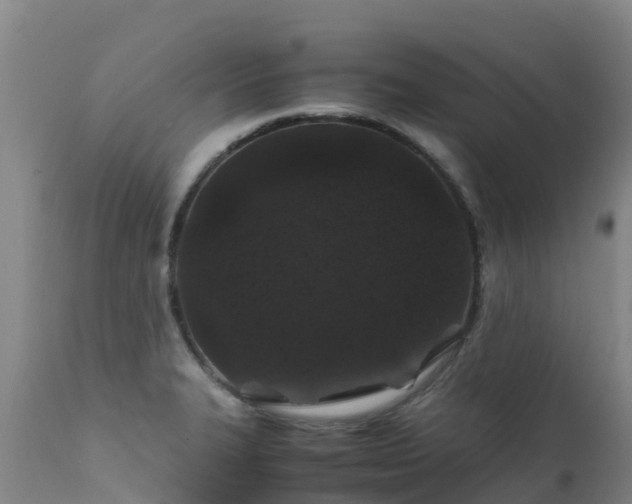 X0000111471327200907201127