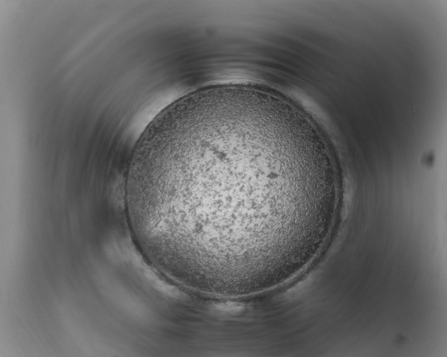 X0000111471329200907201127