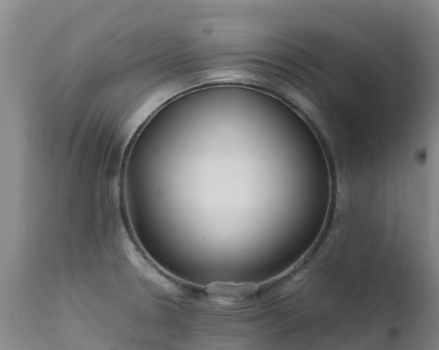 X0000111471330200907201127