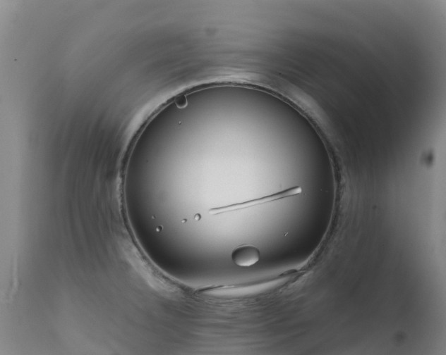 X0000111471332200907201127