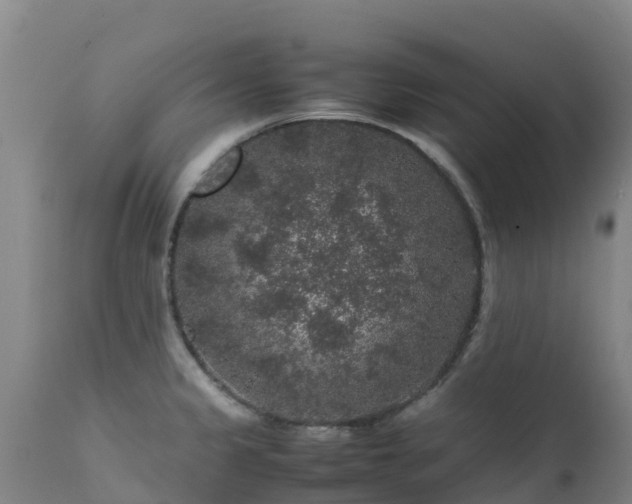 X0000111471333200907201127