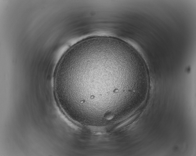 X0000111471335200907201127