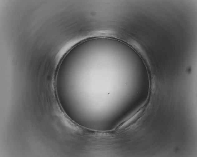 X0000111471336200907201127